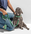 Wild One Poop Bag Carrier and Roll (Spruce) - Good Dog People™