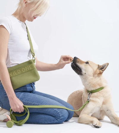 Wild One Recycled Knit Walking Treat Pouch (Moss) - Good Dog People™