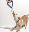 Wild One Triangle Tug Dog Chew Toy (Navy) - Good Dog People™