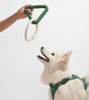 Wild One Triangle Tug Dog Chew Toy (Spruce) - Good Dog People™