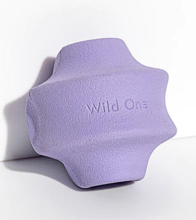 Wild One Twist Toss Dog Chew Toy (Lilac) - Good Dog People™