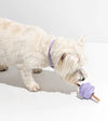 Wild One Twist Toss Dog Chew Toy (Lilac) - Good Dog People™