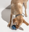 Wild One Twist Toss Dog Chew Toy (Navy) - Good Dog People™