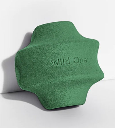 Wild One Twist Toss Dog Chew Toy (Spruce) - Good Dog People™